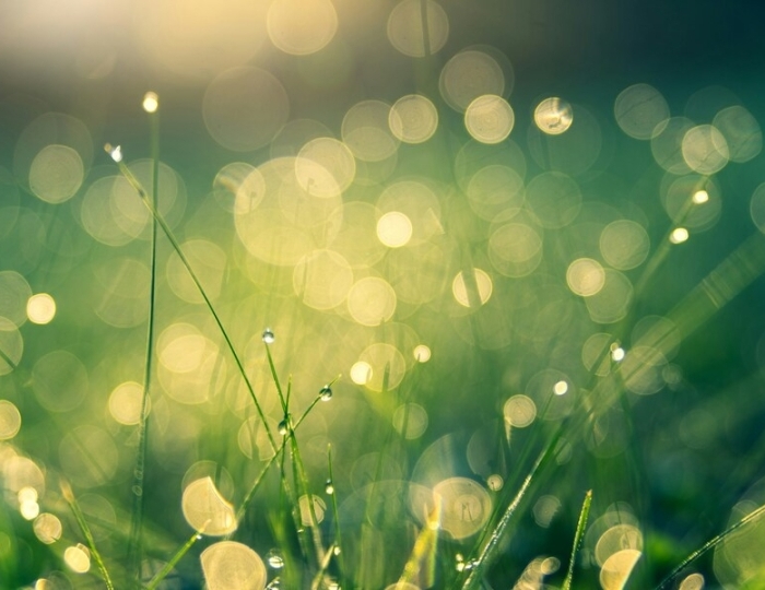 Оздоровительная - Лечебные программы - Санаторий «им. С.М. Кирова» Кисловодск